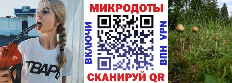 Галлюциногенные грибы ЛСД дарнет шоп мориарти официальный сайт Михайлов
